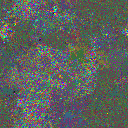 World at epoch 40000