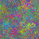 World at epoch 24000