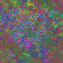 World at epoch 35000