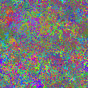 World at epoch 25000
