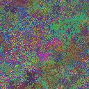 World at epoch 37000
