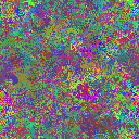 World at epoch 37000