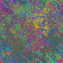 World at epoch 39000