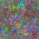 World at epoch 40000