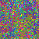 World at epoch 25000
