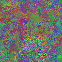 World at epoch 31000