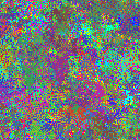 World at epoch 29000
