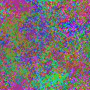 World at epoch 25000