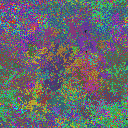 World at epoch 40000
