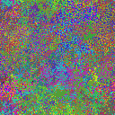 World at epoch 26000