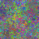 World at epoch 31000