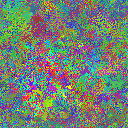 World at epoch 40000