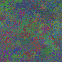 World at epoch 40000