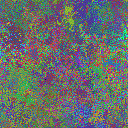 World at epoch 31000