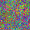 World at epoch 39000