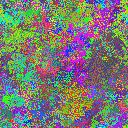 World at epoch 25000