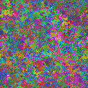 World at epoch 35000