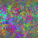 World at epoch 25000