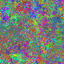 World at epoch 40000