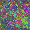 World at epoch 26000
