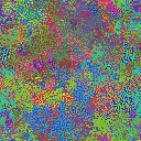 World at epoch 40000