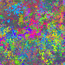 World at epoch 25000