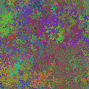 World at epoch 39000