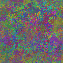 World at epoch 39000