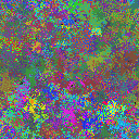World at epoch 31000