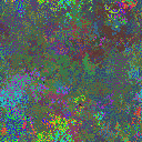 World at epoch 31000