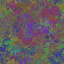 World at epoch 40000
