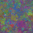 World at epoch 37000