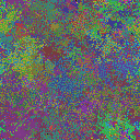 World at epoch 40000