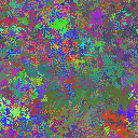 World at epoch 35000
