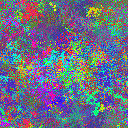 World at epoch 25000