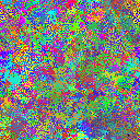 World at epoch 35000