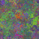World at epoch 40000