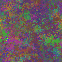 World at epoch 35000