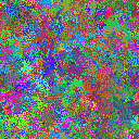World at epoch 35000