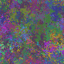 World at epoch 35000