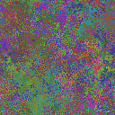 World at epoch 31000