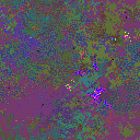 World at epoch 40000