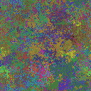 World at epoch 37000