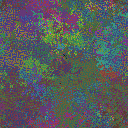 World at epoch 40000