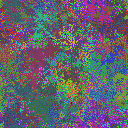World at epoch 35000