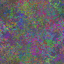 World at epoch 37000