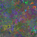 World at epoch 39000