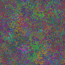 World at epoch 25000