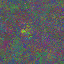 World at epoch 25000