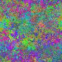 World at epoch 35000